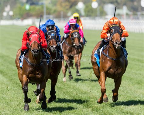 emirates stakes day|Flemington .